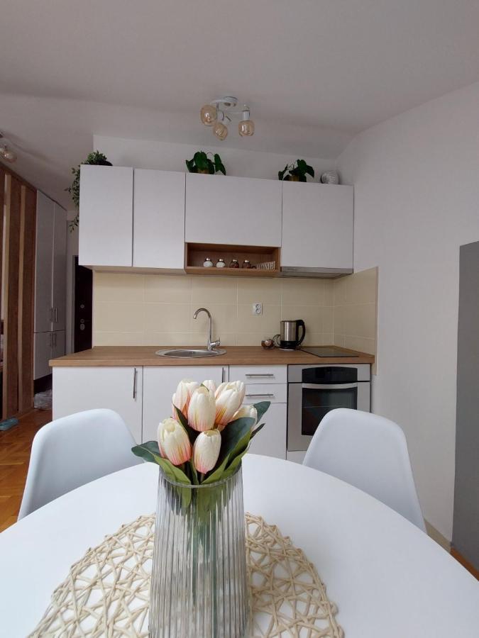 Soul Stan Na Dan Apartment Novi Sad Luaran gambar